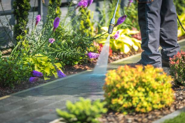 Best Spring Cleaning  in Natchitoches, LA